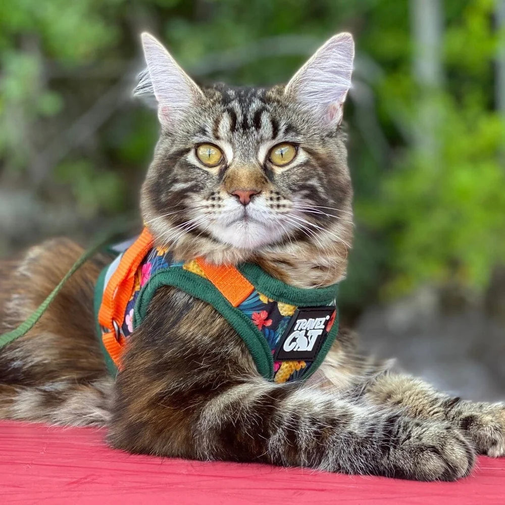 Travel Cat - Harness & Leash Set - "The Hawaiian Shirt"