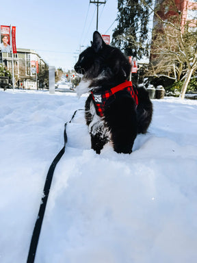 Travel Cat - Harness & Leash Set - "Buffalo Plaid"