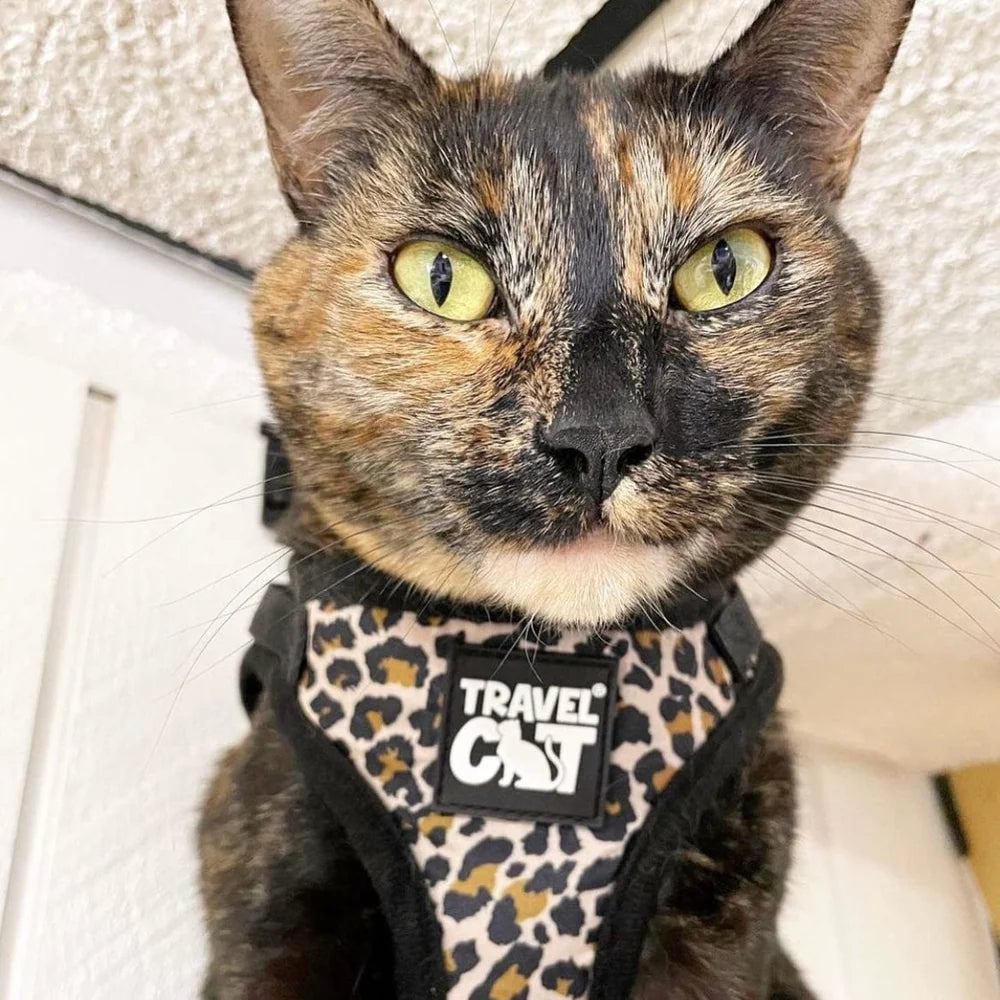 Travel Cat - Harness & Leash Set - "The Cheetah Print" - Southern Agriculture 