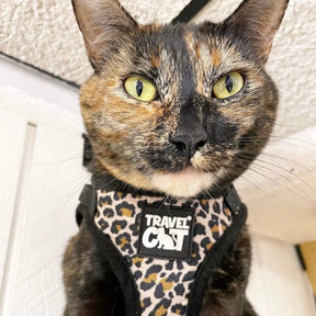 Travel Cat - Harness & Leash Set - "The Cheetah Print" - Southern Agriculture 