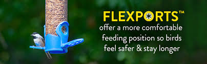 Perky Pet - Mealworm Bird Feeder