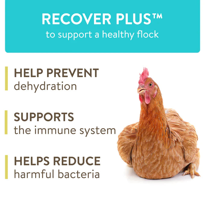 Perdue - Recovery Plus for Chickens Makes 45 Gallons