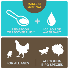 Perdue - Recovery Plus for Chickens Makes 45 Gallons