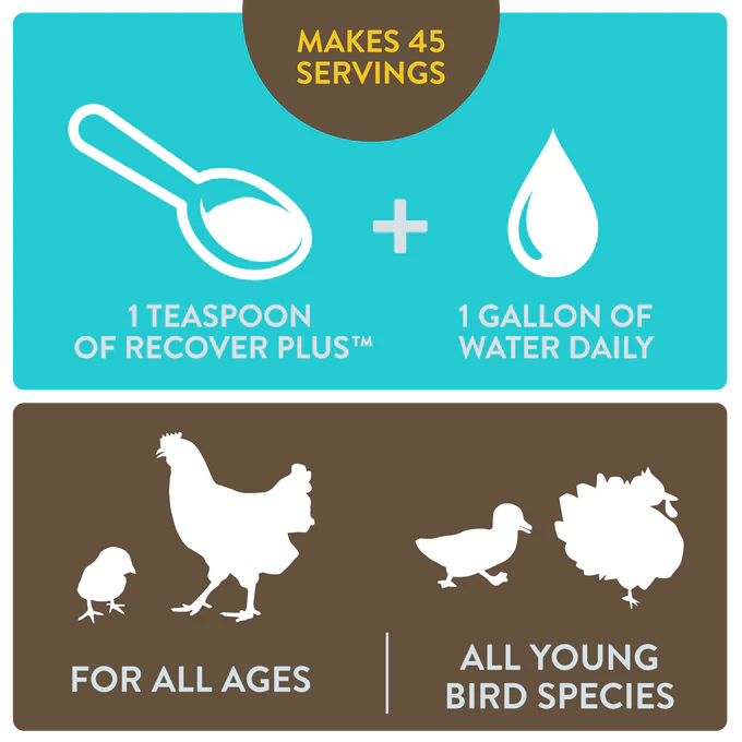 Perdue - Recovery Plus for Chickens Makes 45 Gallons