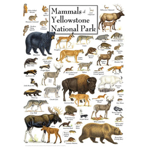 MasterPieces - Puzzle Mammals of Yellowstone 1000 Piece