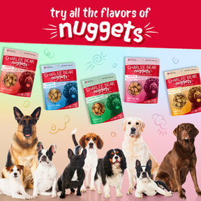Central Pet Houston - Charlee Bear Nuggets Sunny Side Up