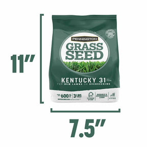 Pennington - Grass Seed Kentucky 31 Tall Fescue