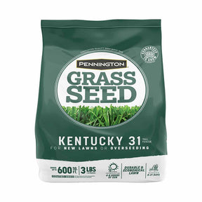 Pennington - Grass Seed Kentucky 31 Tall Fescue