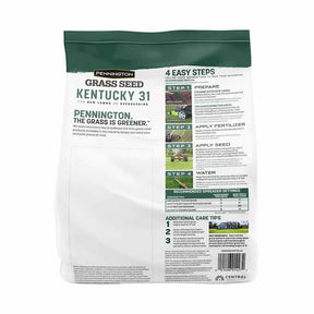 Pennington - Grass Seed Kentucky 31 Tall Fescue