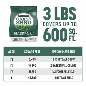 Pennington - Grass Seed Kentucky 31 Tall Fescue