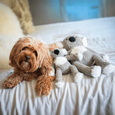 fabdog - Floppy Koala Dog Toy