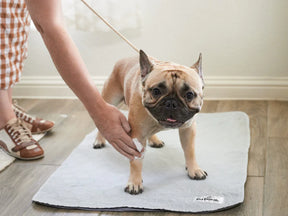 Pet Parents - Pet WiPees Dog All Purpose+ Allergy Natural