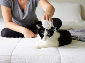 Pet Parents - Pet WiPees Cat All Purpose