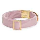 The Foggy Dog - Dog Collar Velvet Lilac