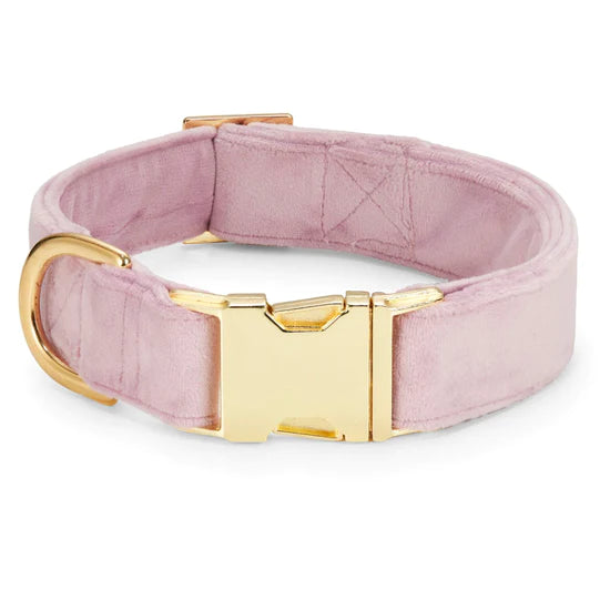 The Foggy Dog - Dog Collar Velvet Lilac
