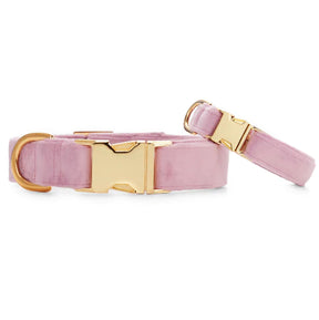 The Foggy Dog - Dog Collar Velvet Lilac