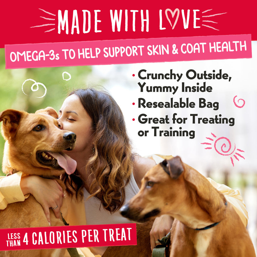 Central Pet Houston - Charlee Bear Nuggets Straw-Beary Swirl Treats For Dogs - Southern Agriculture 