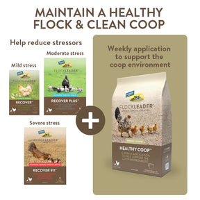 Perdue - Recovery Plus for Chickens Makes 45 Gallons