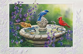 PTR Creative LLC - Card Backyard Refreshment Stand B'Day Birds at Birdbath