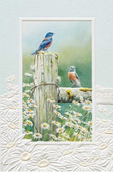 PTR Creative LLC - Card Summer Breeze B'day