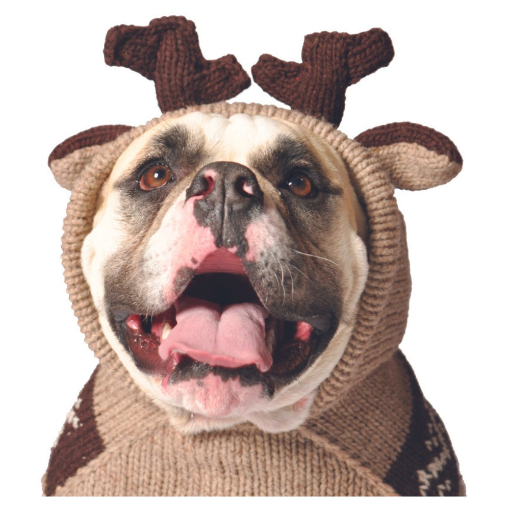 Chilly Dog -  Dog Hoodie Moosey - Southern Agriculture 
