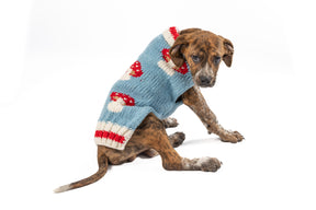 Chilly Dog - Dog Sweater Mushroom