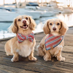 The Foggy Dog - Bandana Dog Nantucket Stripe