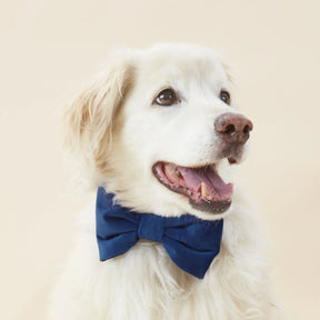 The Foggy Dog - Dog Bow Tie Navy Velvet