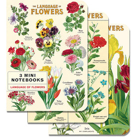 Cavallini Papers & Co - Mini Notebooks Set of 3
