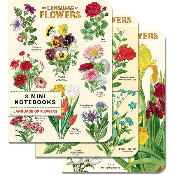 Cavallini Papers & Co - Mini Notebooks Set of 3