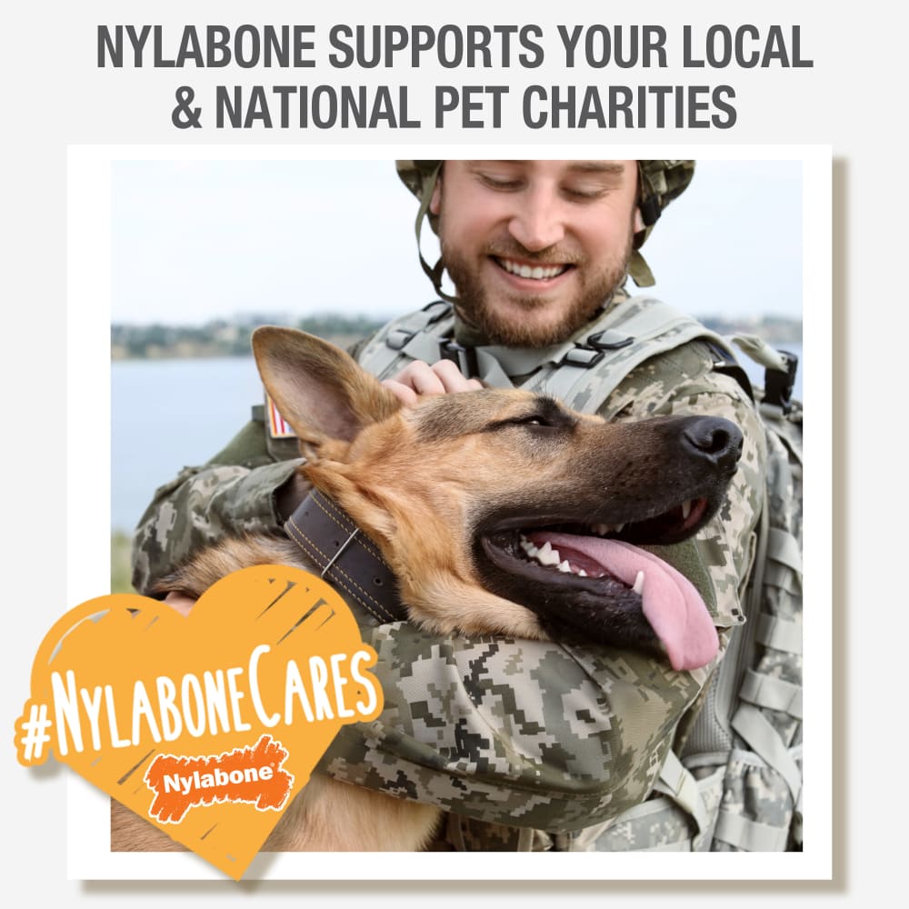 Nylabone - Dura Chew Giant Barbell Peanut Butter Flavor