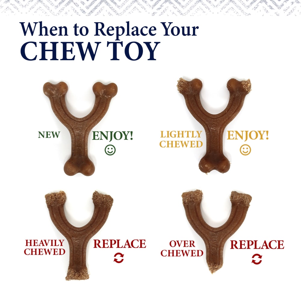 Nylabone - Gourmet Bone & Femur (Cheddar & Baby Back Ribs) Strong Chew
