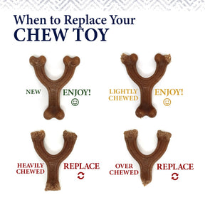 Nylabone - Gourmet Bone & Femur (Cheddar & Baby Back Ribs) Strong Chew