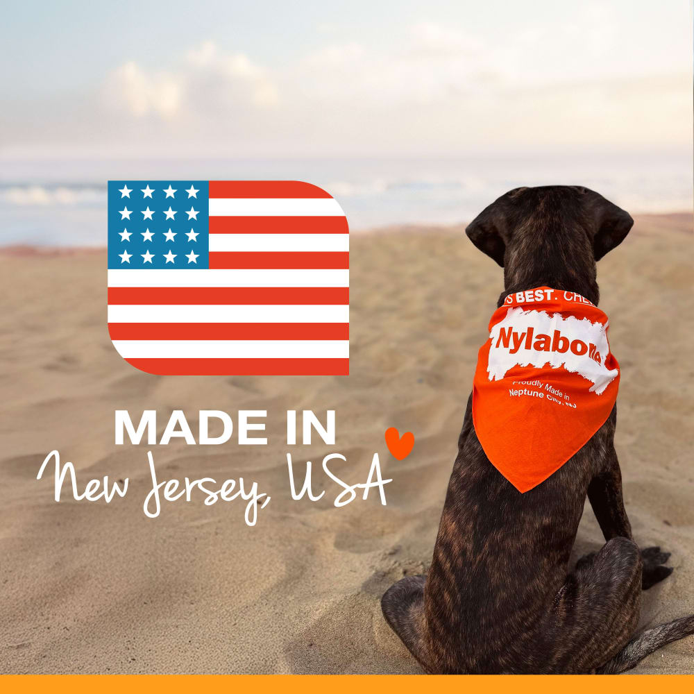Nylabone - Gourmet Femur Bacon & Chicken Strong Chew Small