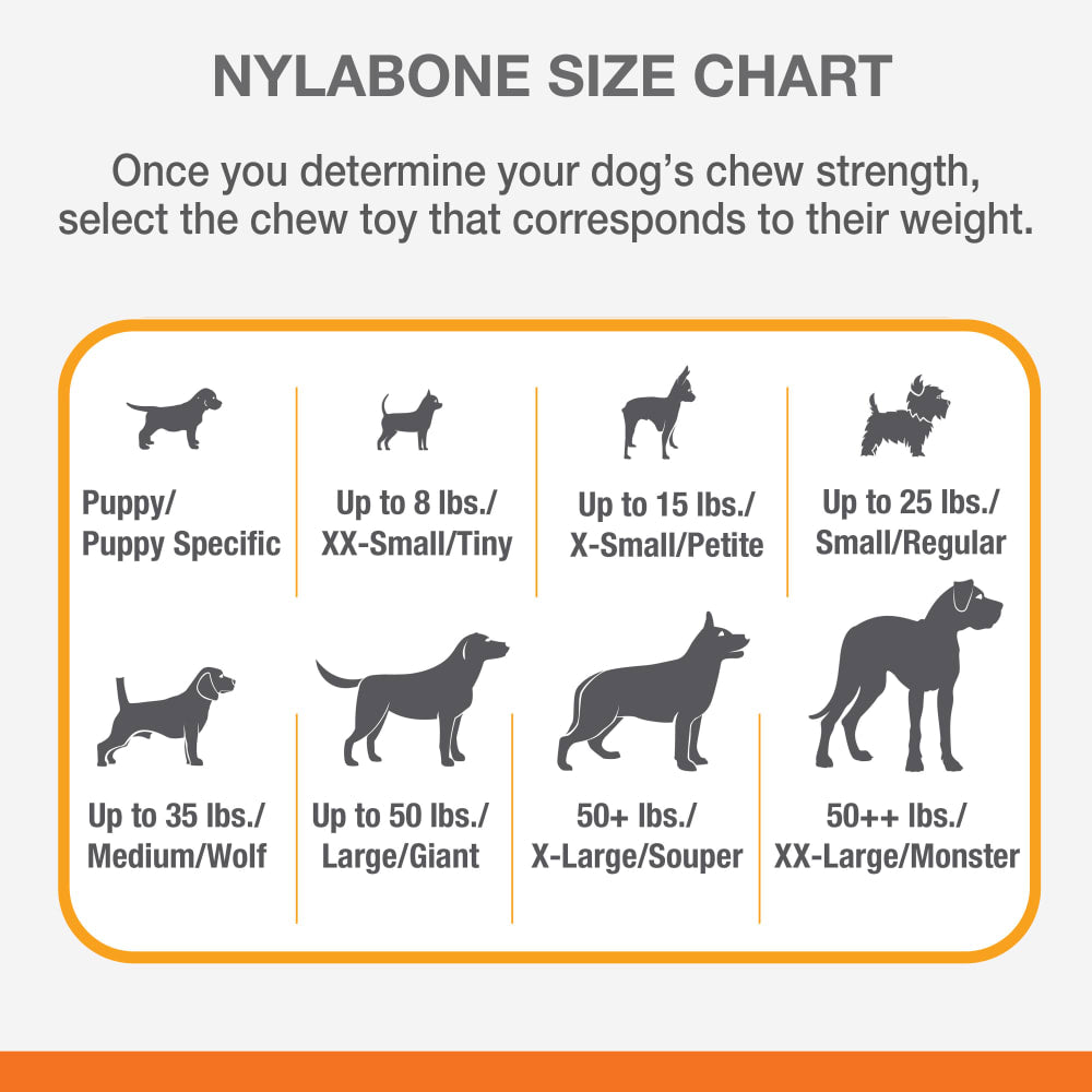 Nylabone - Dura Chew Meaty Rib Alternative Chew Toy Beef Flavor