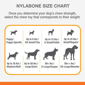 Nylabone - Dura Chew Meaty Rib Alternative Chew Toy Beef Flavor