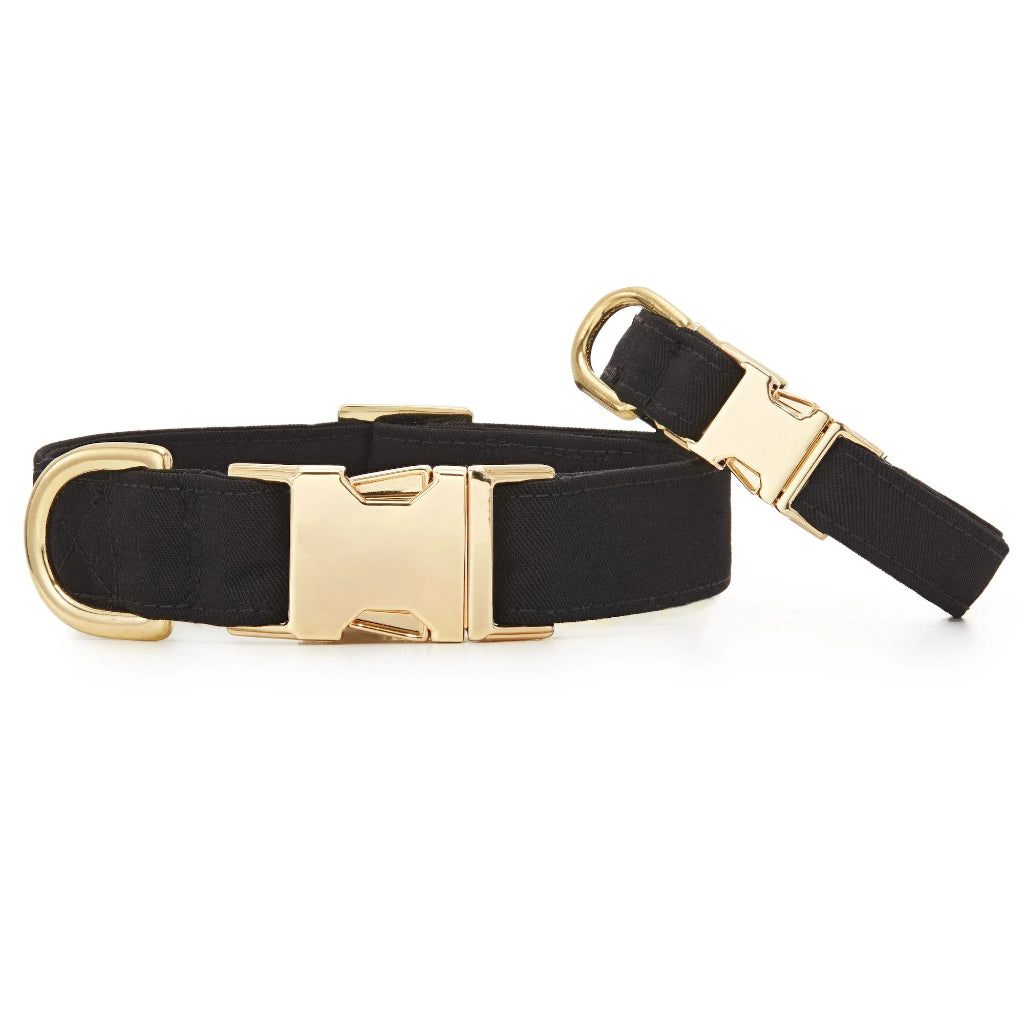 Foggy Dog - Dog Collar Onyx