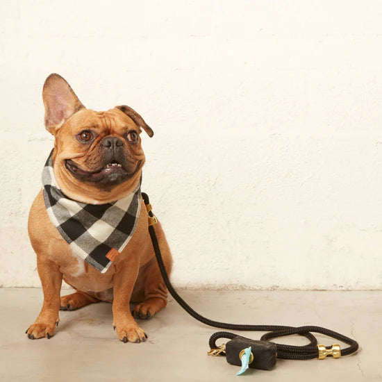 The Foggy Dog - Waste Bag Dispenser - Onyx