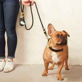 The Foggy Dog - Waste Bag Dispenser - Onyx