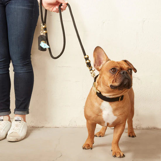 The Foggy Dog - Waste Bag Dispenser - Onyx