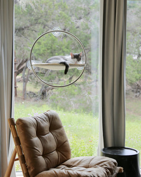 Catenary Home - Window Perch For Cats