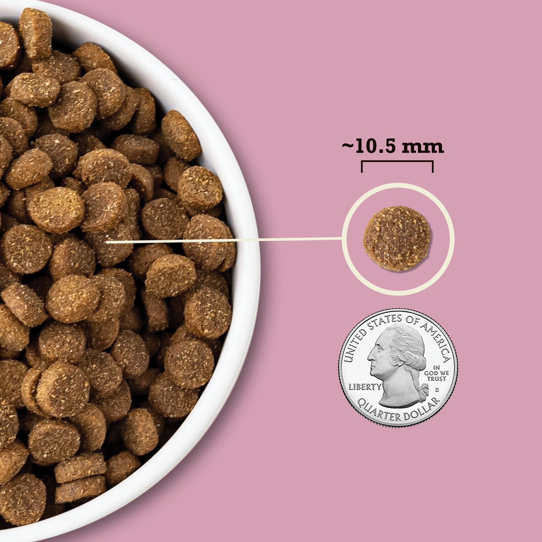 Champion Petfoods Acana - Small breeds, Adult - Wholesome Grains, Small Breed Recipe Dry Dog Food - Southern Agriculture 