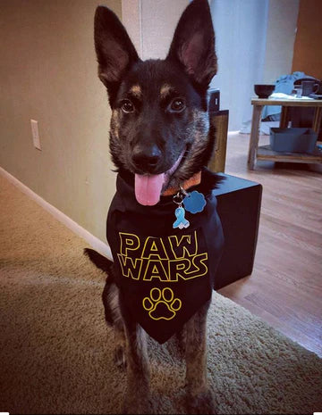 FunDog Bandanas - Dog Bandana Paw Wars