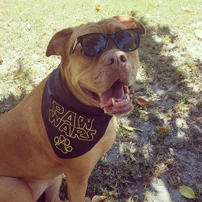 FunDog Bandanas - Dog Bandana Paw Wars