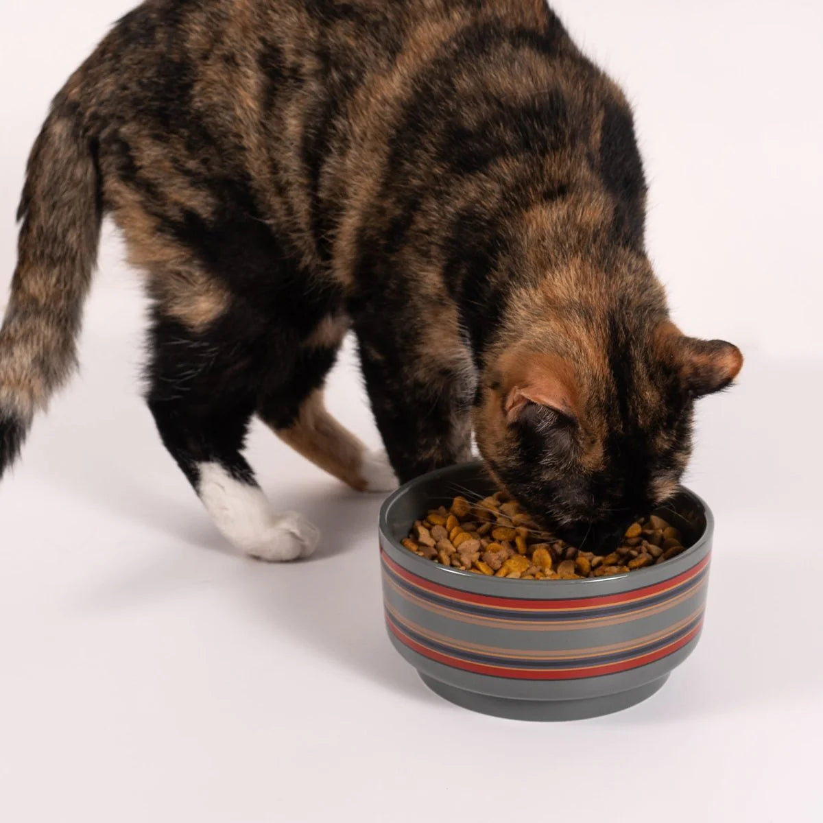 Carolina Pet - Dog Bowl Pendelton