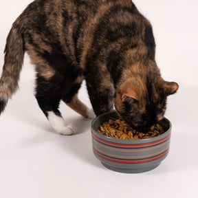 Carolina Pet - Dog Bowl Pendelton
