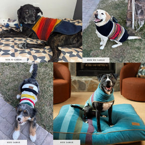 Carolina Pet Company - Pendleton Dog Vest