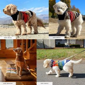 Carolina Pet Company - Pendleton Dog Vest