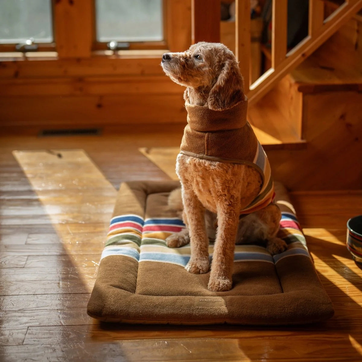 Carolina Pet Company - Pendleton Dog Vest