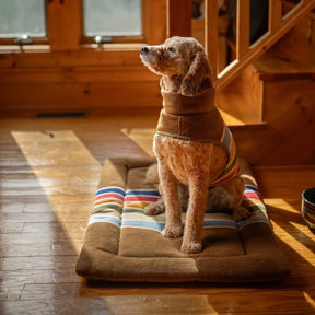 Carolina Pet Company - Pendleton Dog Vest